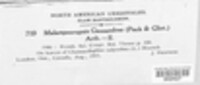 Image Associated With the Occurence